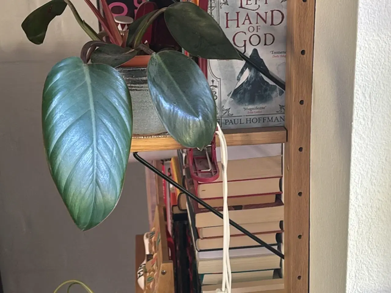 Billede 4 - ILVA reol system