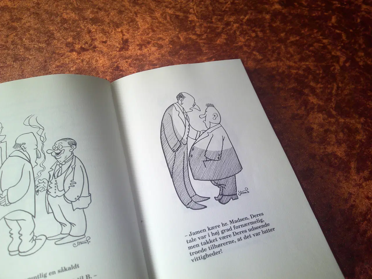 Billede 3 - Udvalgte fluer, Storm P