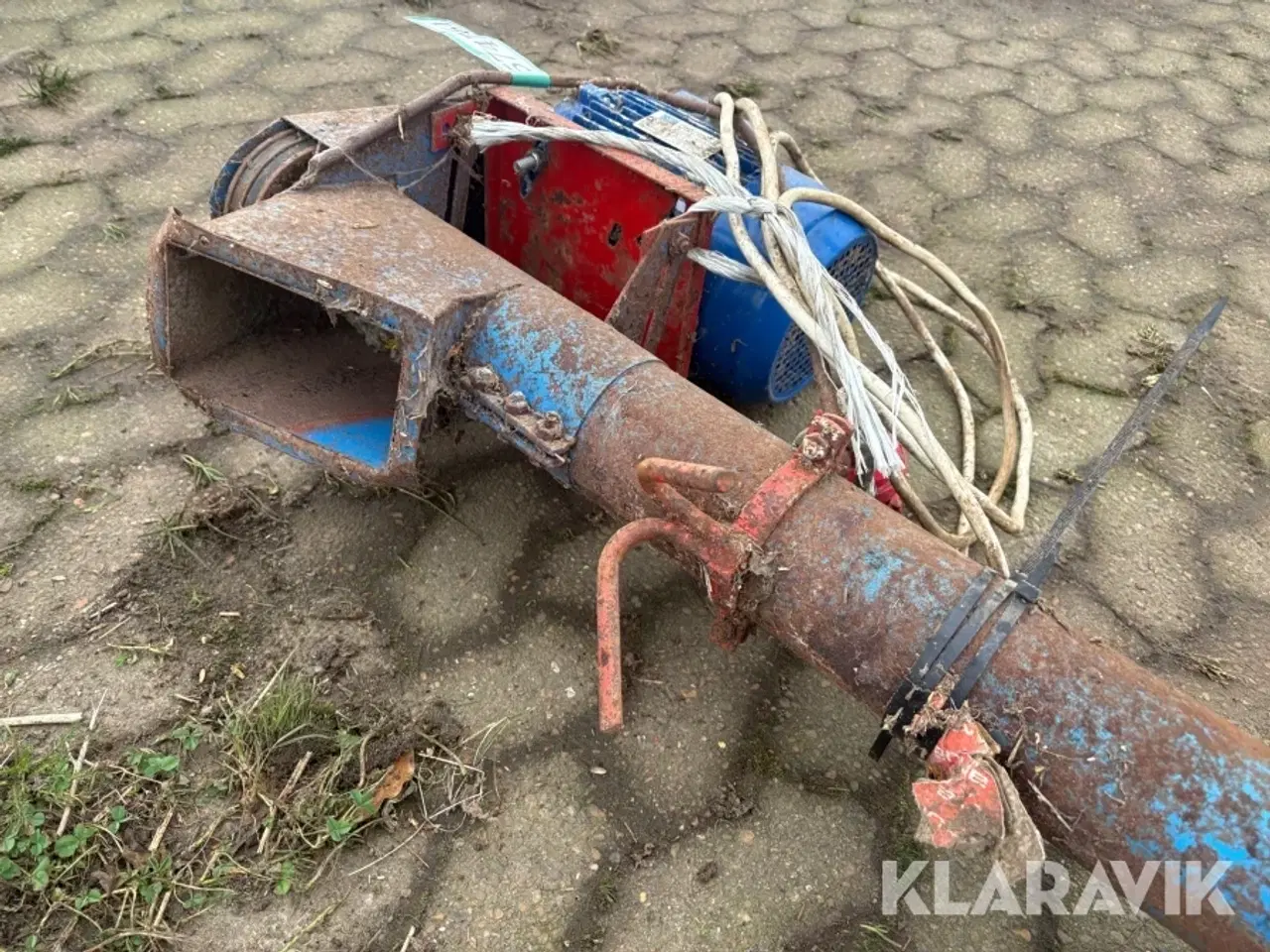 Billede 6 - Kornsnegl