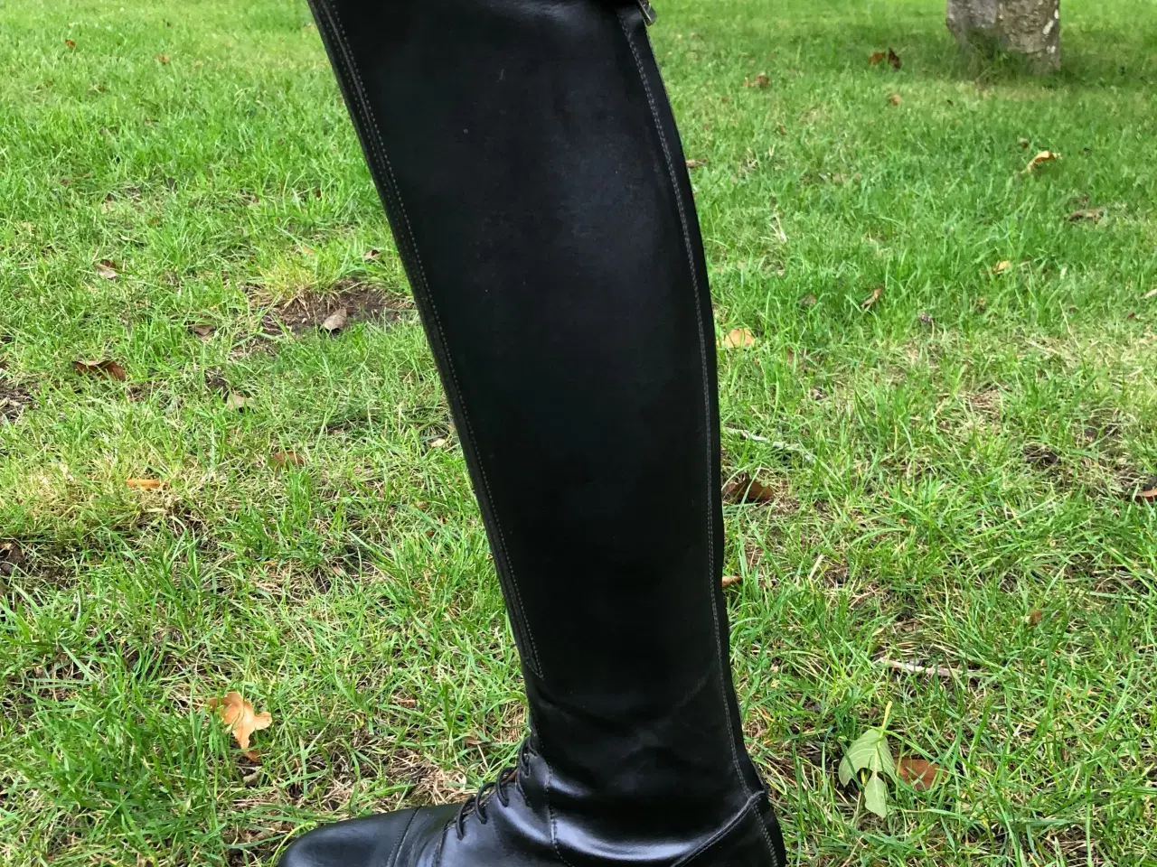 Billede 3 - Læder ridestøvler 
