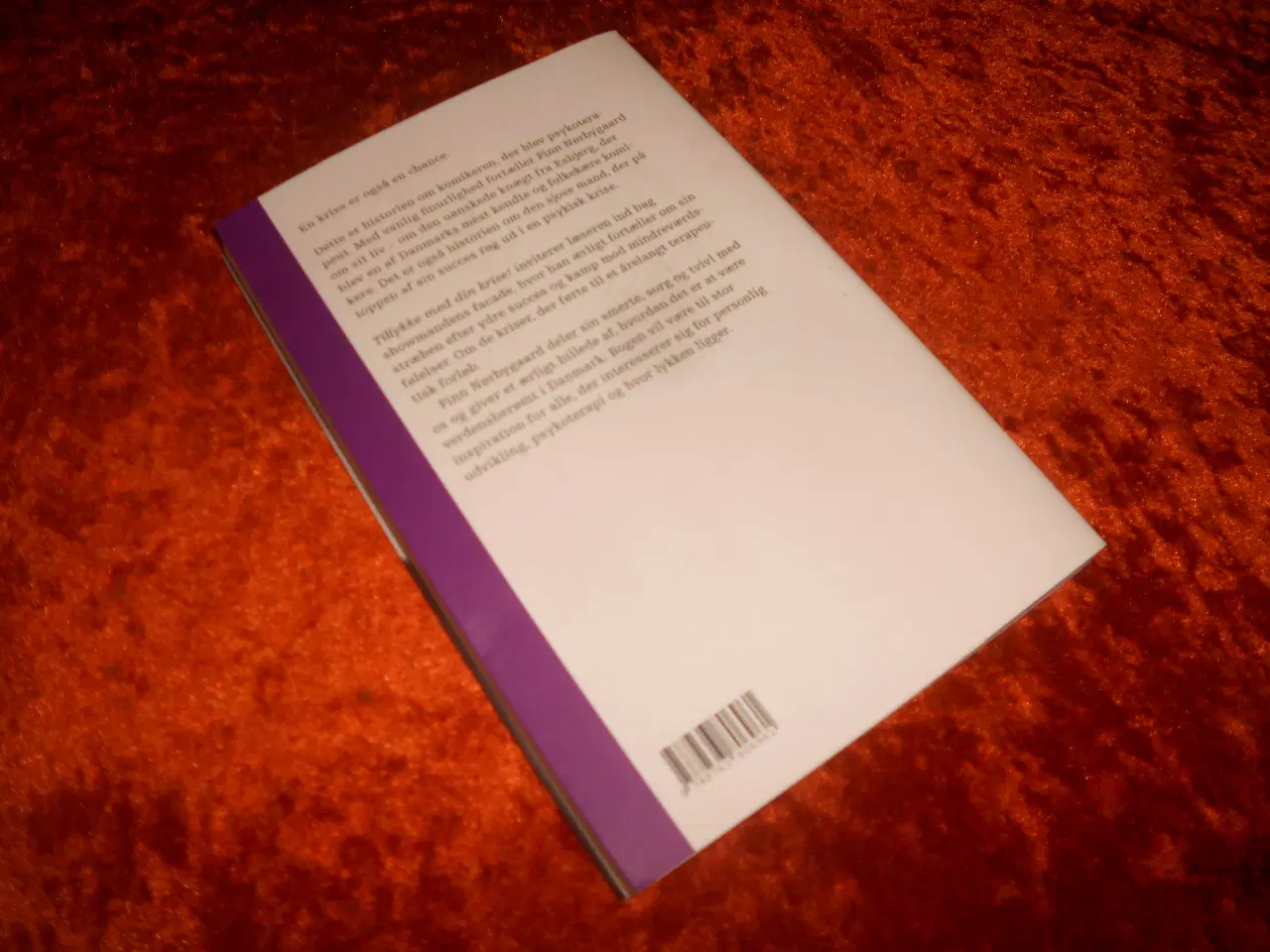 Billede 2 - Tillykke med din krise, Finn Nørbygaard