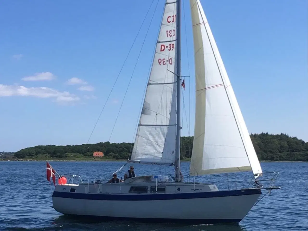 Billede 1 - Motor sejler med stor agter kahyt. Compass 31.