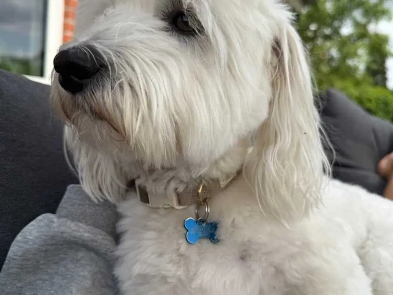 Billede 3 - Coton på 2 år