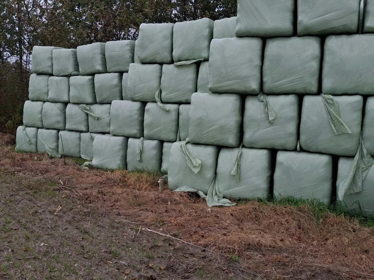 Billede 1 - Tørt wrap. Kløver og alm. Græs