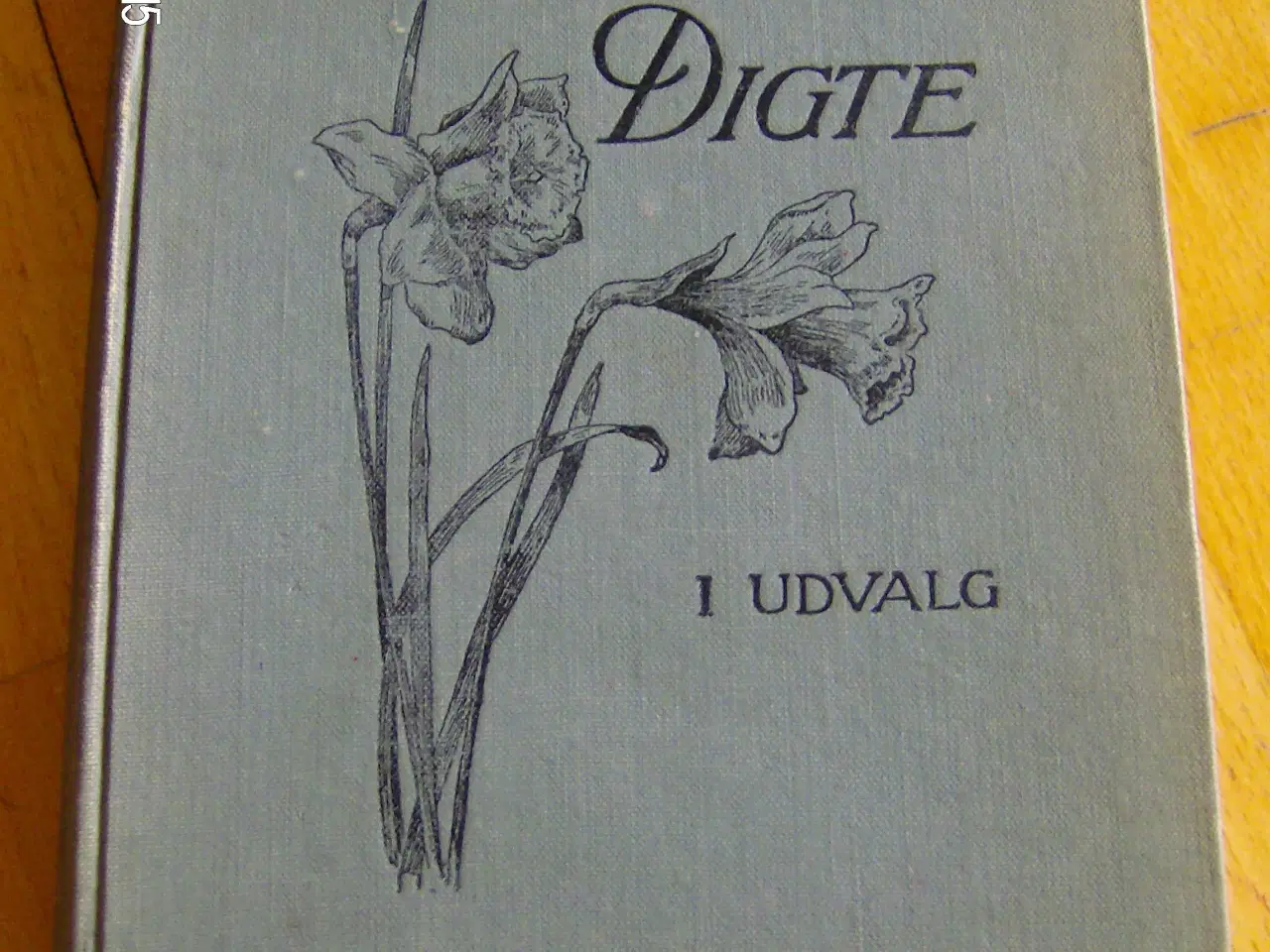 Billede 1 - Digte 