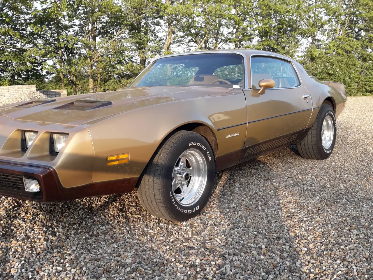 Billede 2 - Pontiac Firebird Formula