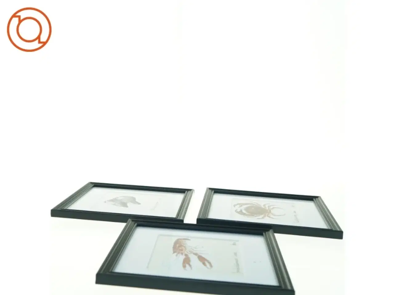 Billede 3 - Samling af tre indrammede illustrationer (str. 22 x 22 cm)