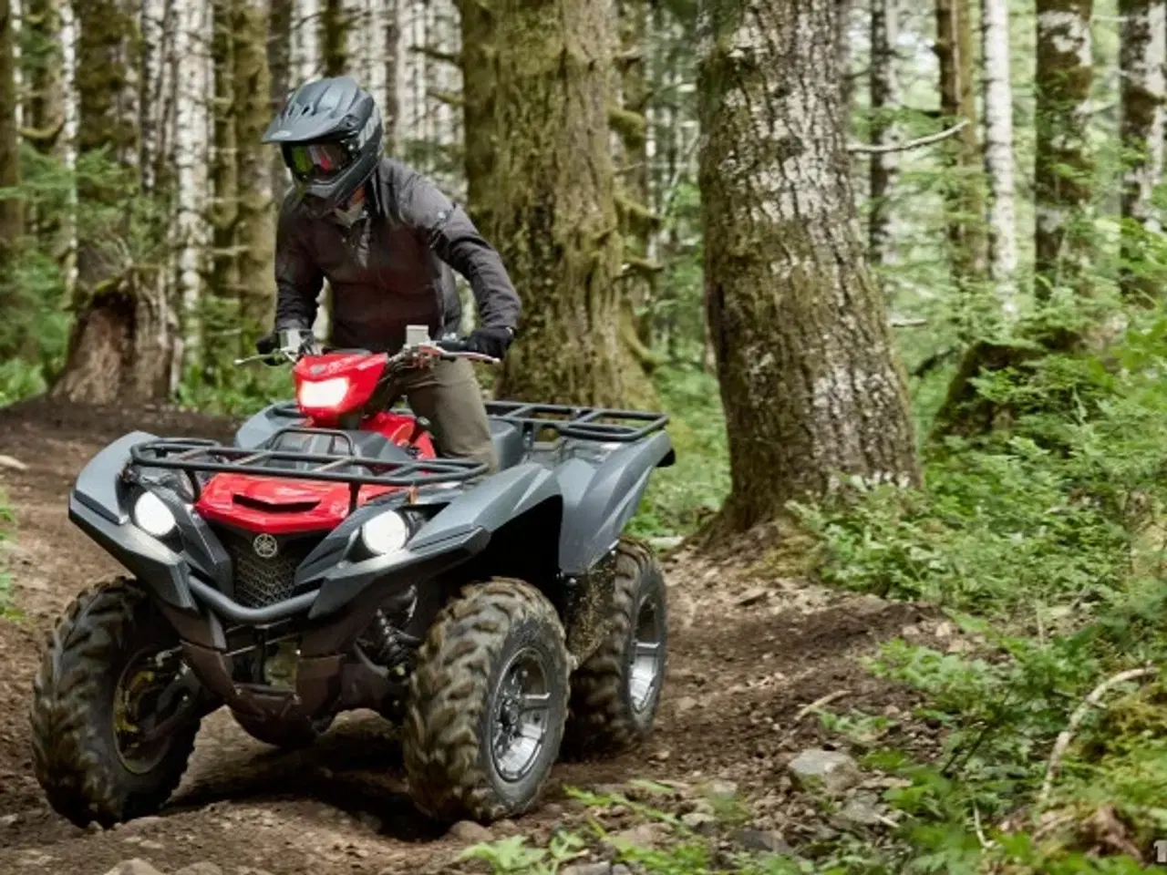 Billede 7 - Yamaha YFM 700 Grizzly EPS Traktor
