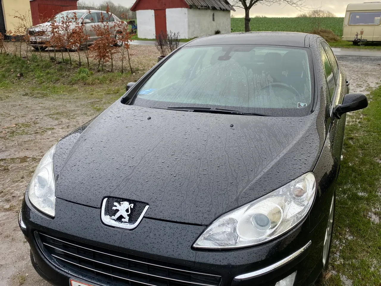 Billede 4 - Peugeot 407 v6