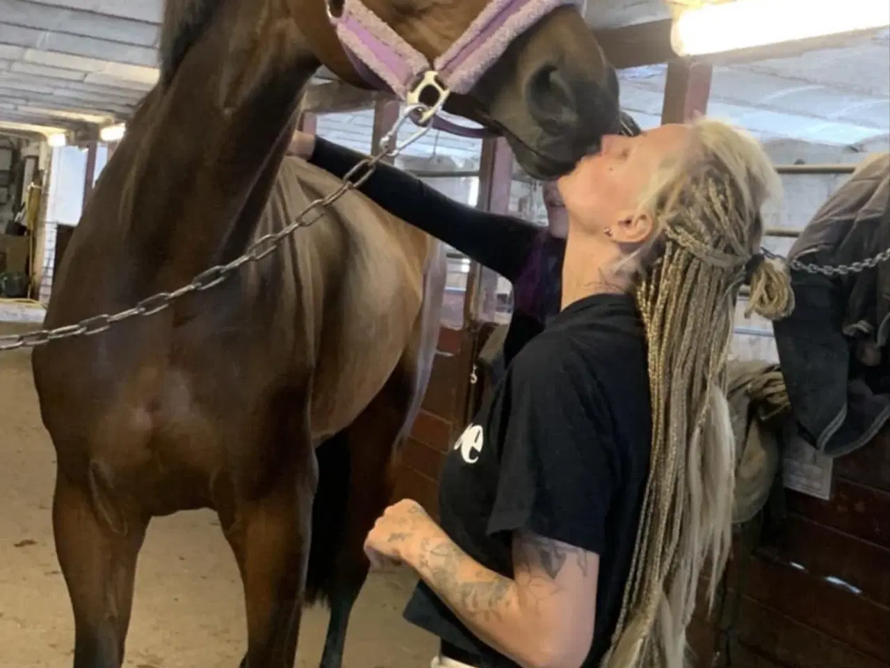 Billede 4 - Lilla Regn (Rain)