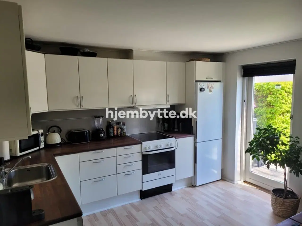 Billede 4 - Hjembytte - Enebærhegnet