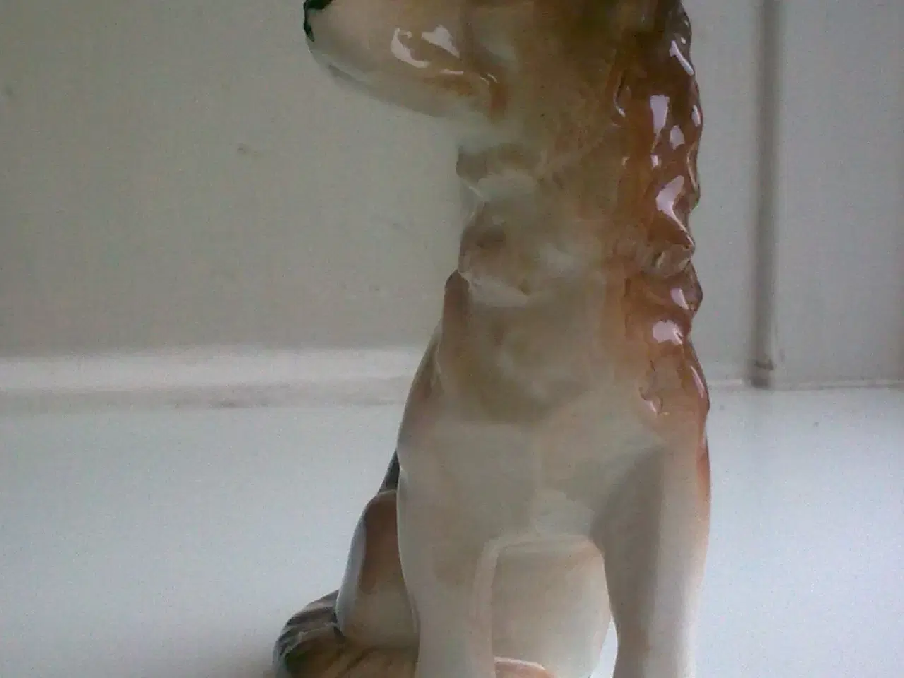 Billede 12 - Hundeskål i eller vagthund ved siden & hund TEMA