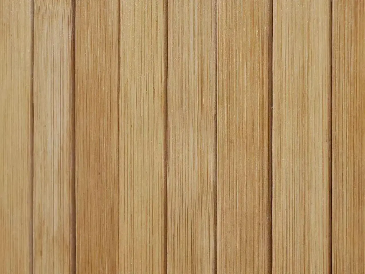 Billede 2 - Rumdeler 250x165 cm bambus naturfarvet