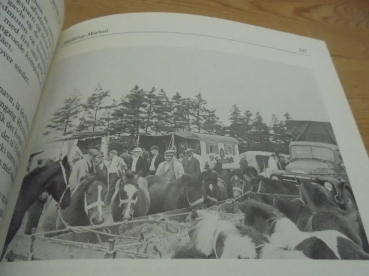 Billede 11 - Nordjylland – Oplevet og beskrevet af Hans Lyngby 