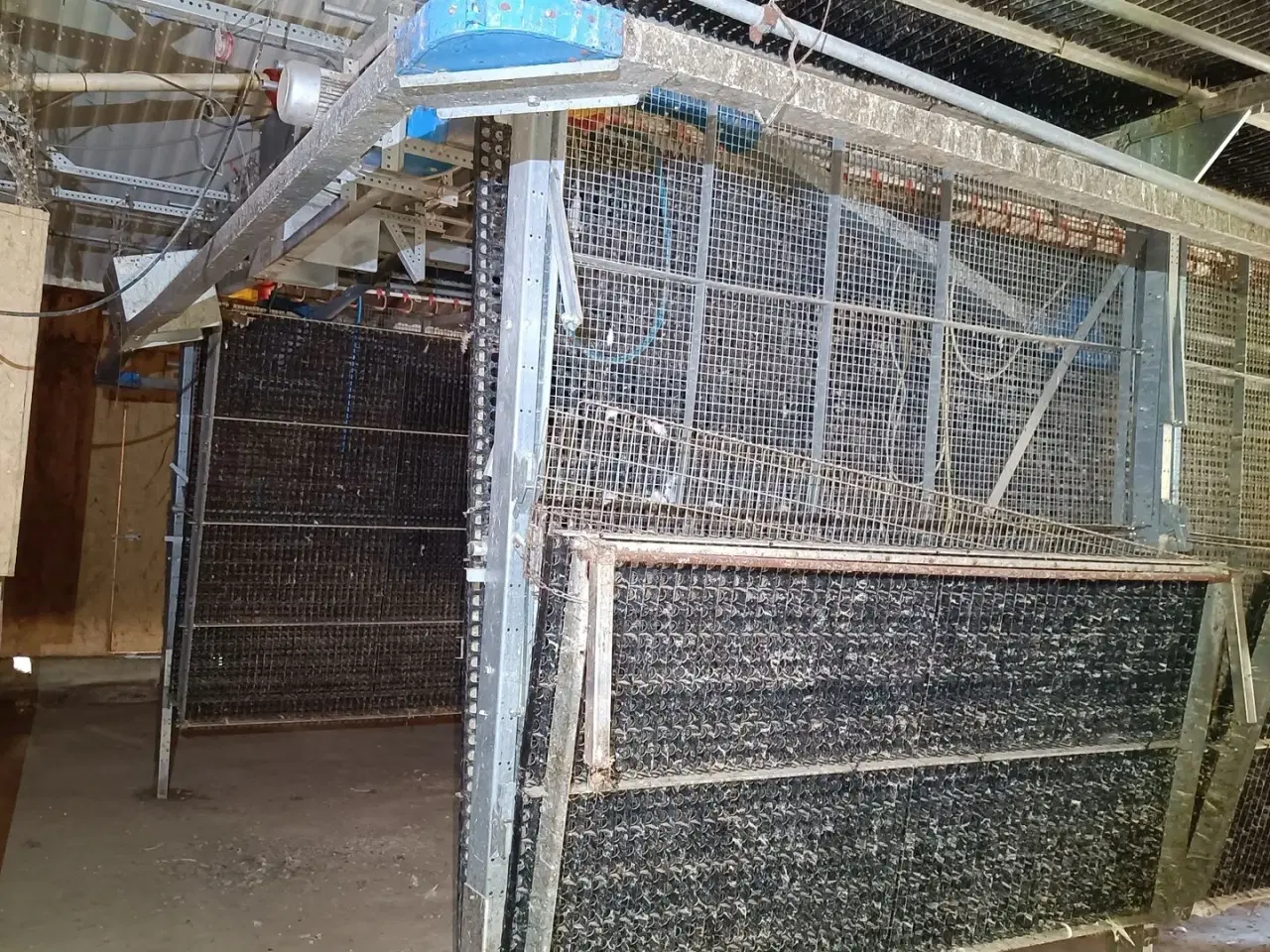 Billede 6 - - - - Fjerkræ opdrætssytem, (inventar) til  ca. 6500 stk.