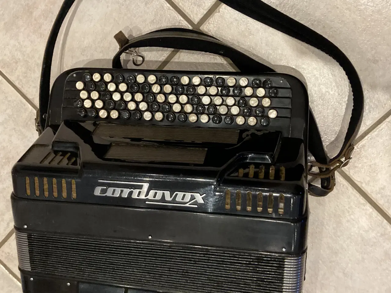 Billede 2 - Harmonika 