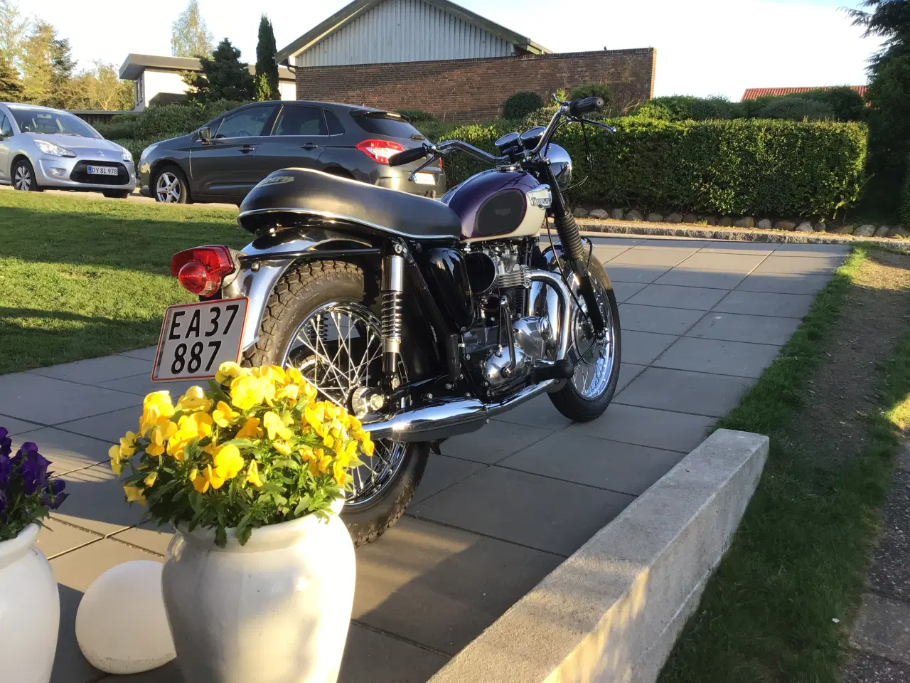 Billede 7 - Triumph Bonneville T120