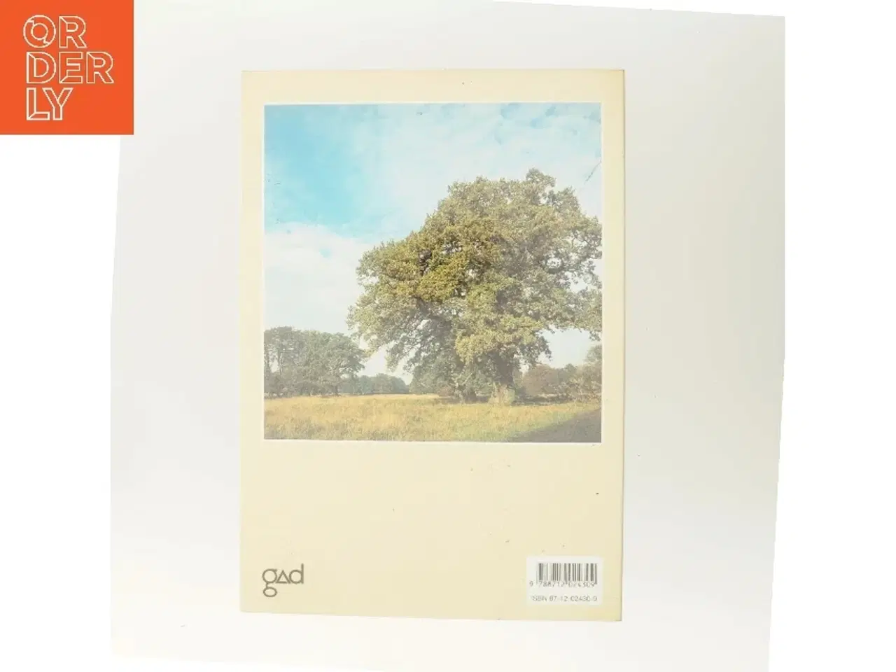 Billede 3 - Steen Eiler Rasmussens København : et bysamfunds særpræg og udvikling gennem tiderne af Steen Eiler Rasmussen (f. 1898) (Bog)