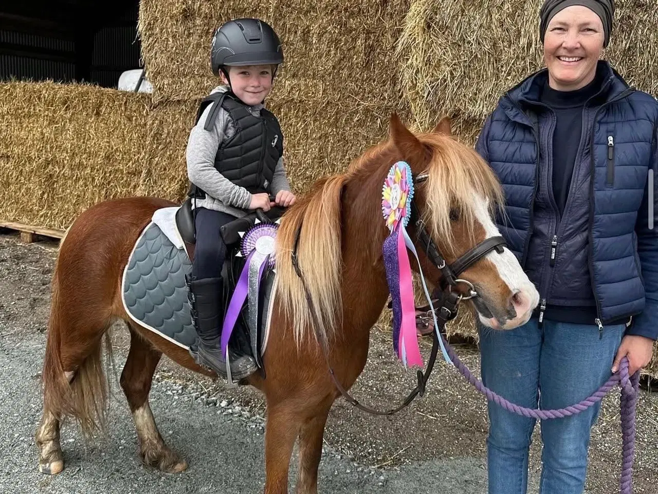 Billede 7 - Børne ponyen 