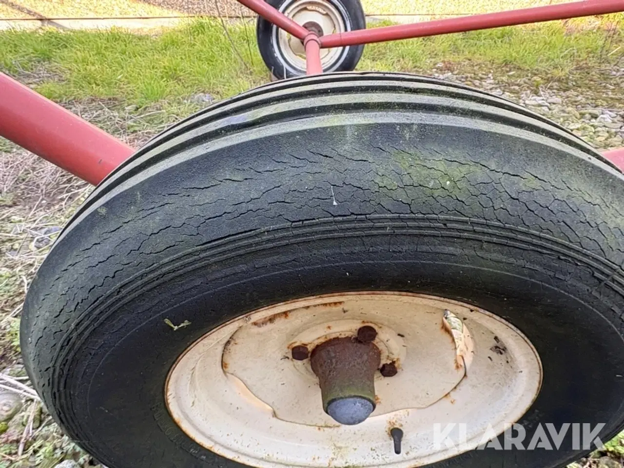 Billede 9 - Kornsnegl Hutchinson