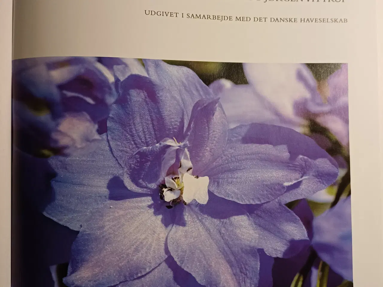 Billede 2 - Politikens Havebog - Danmarks førende grundbog.