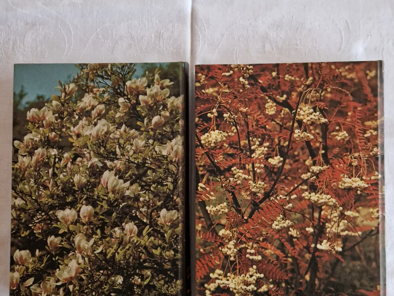 Billede 3 - Havens Planteleksikon  Træer og Buske 2 bøger 