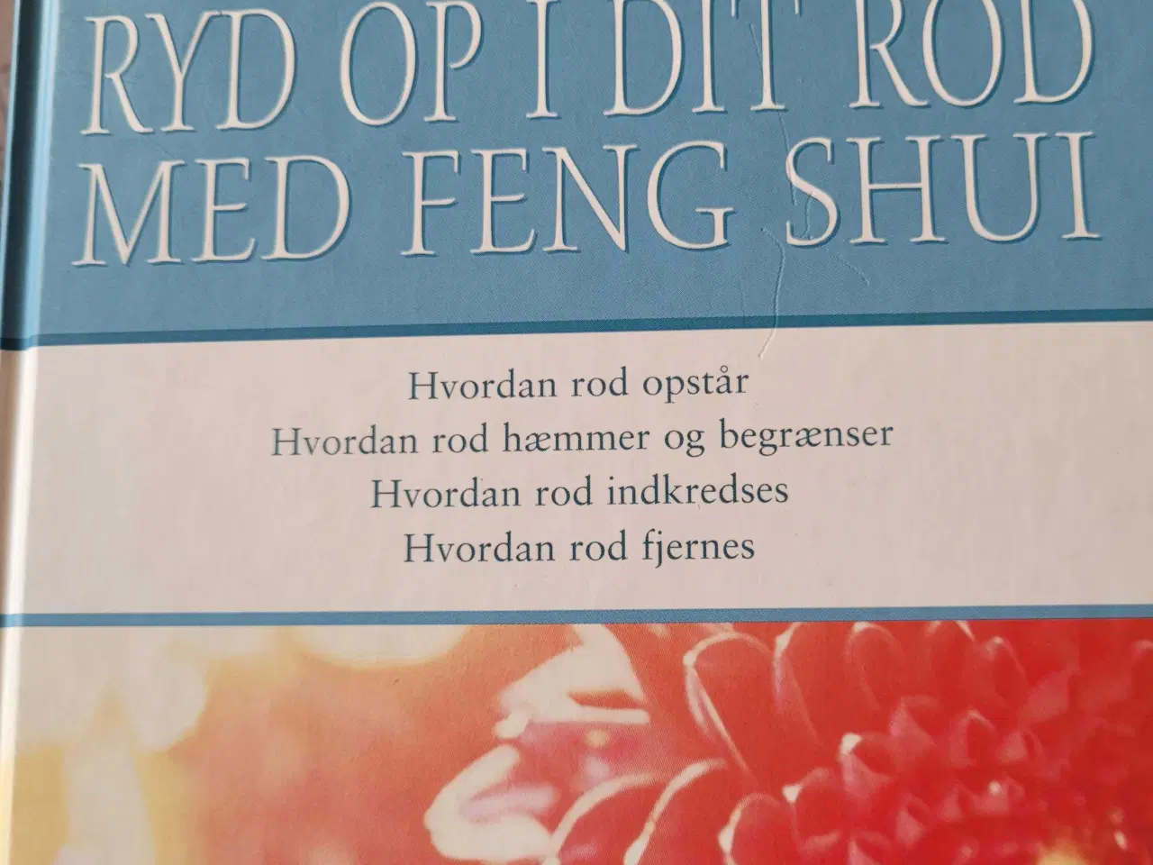 Billede 1 - Ryd op i dit rod 