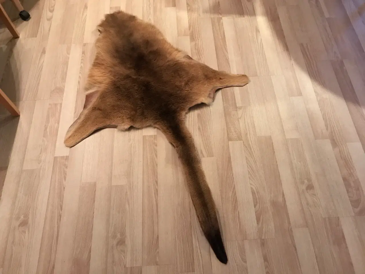 Billede 1 - Kænguru skind