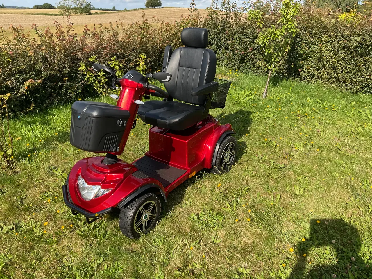 Billede 5 - El scooter Lindebjerg LM 700