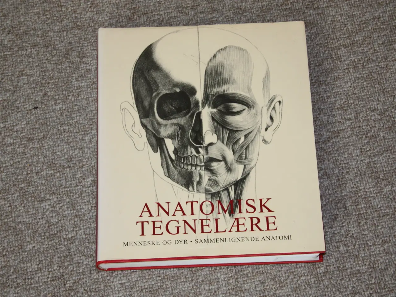 Billede 1 - Anatomisk Tegnelære Mennesker og Dyr