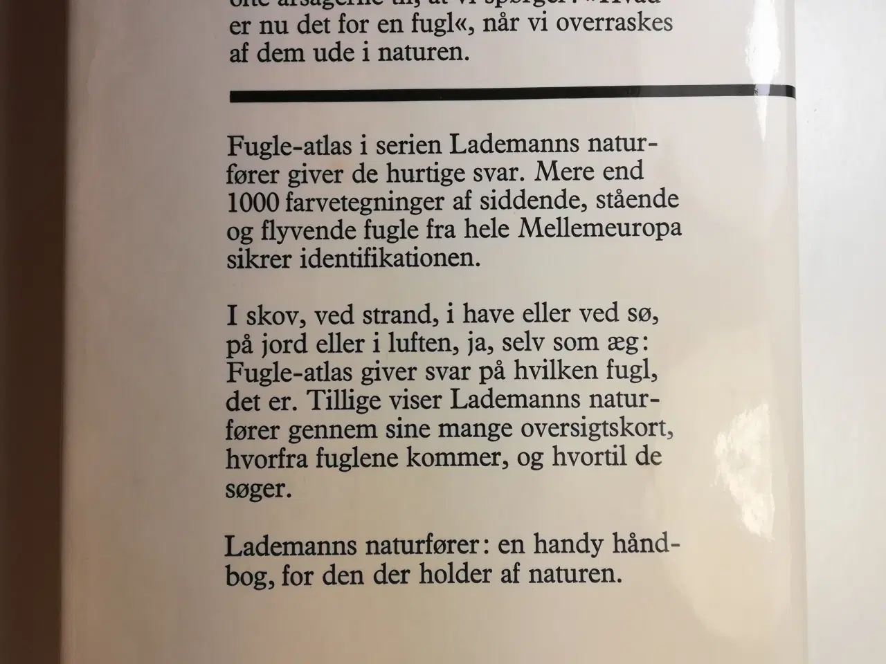 Billede 3 - Lademanns naturfører - Fugle-atlas