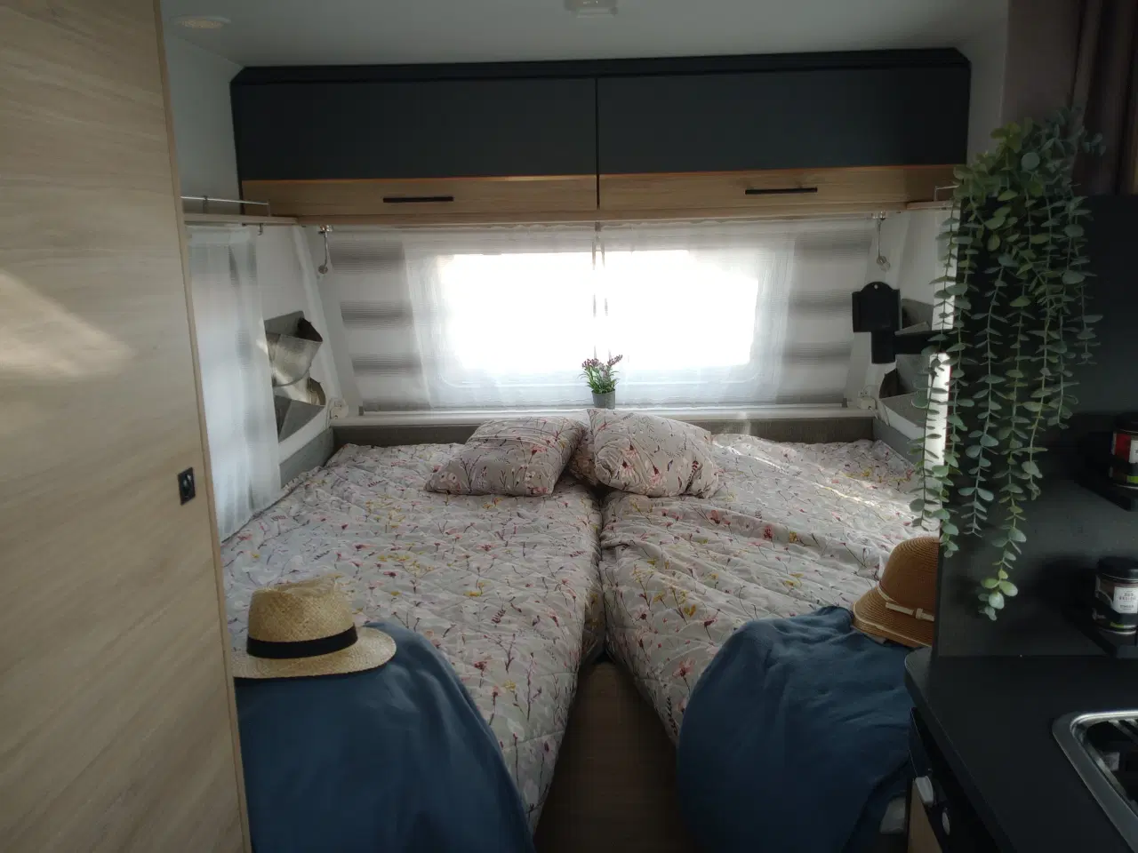 Billede 11 - SÆRDELES VELHOLDT!