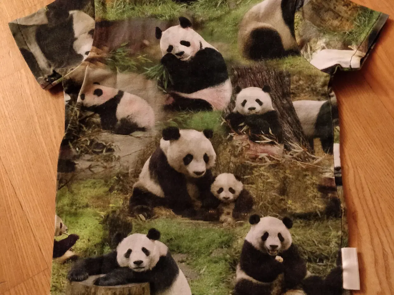Billede 2 - Sød T-shirt med pandaer på 