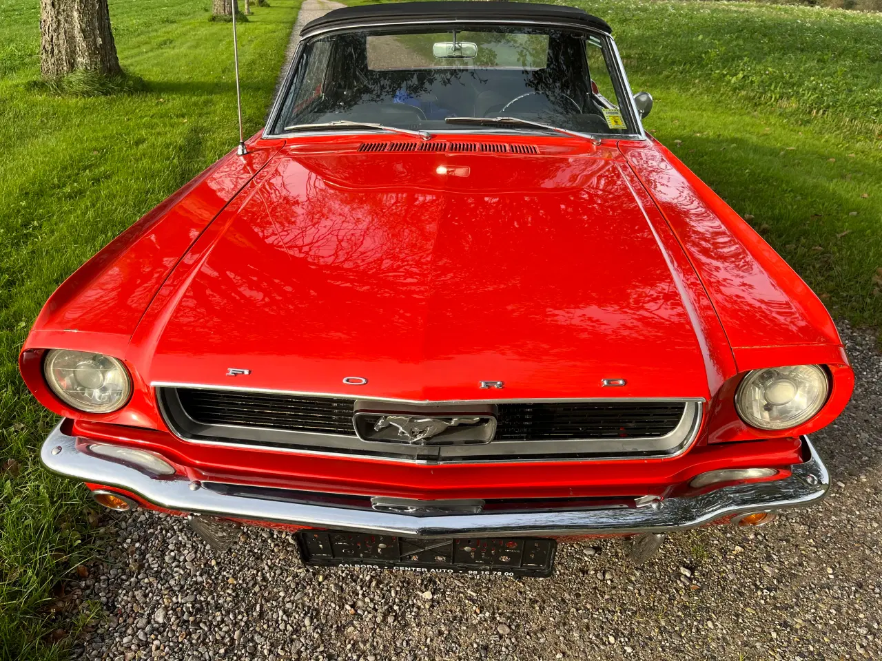 Billede 6 - Ford Mustang cabriolet 66 4,7 L 