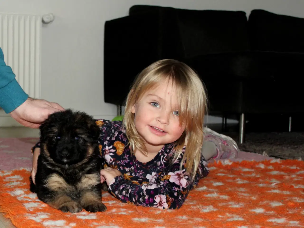 Billede 1 - Fynske julebamser! 