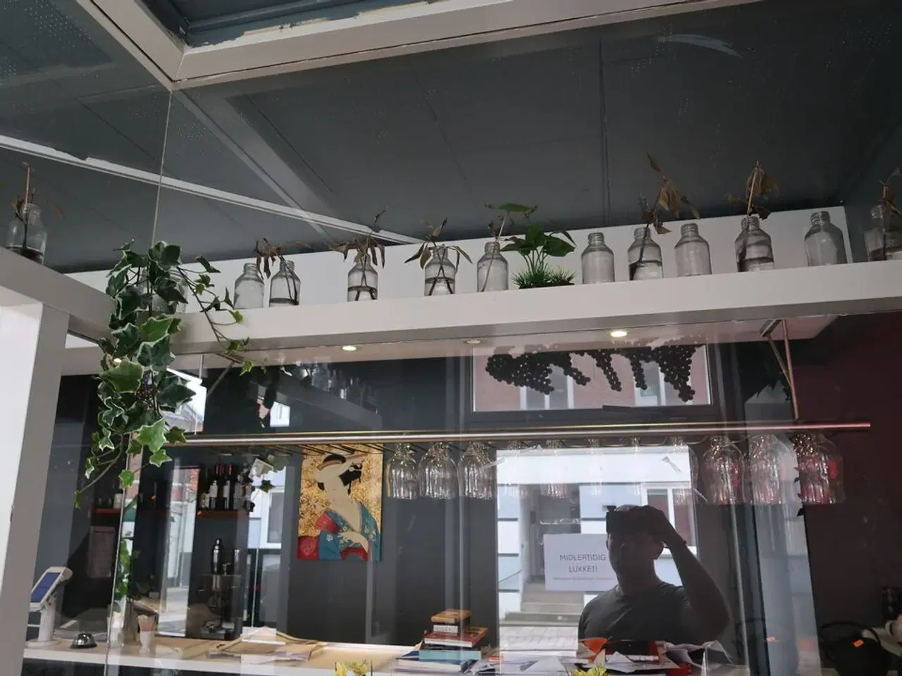 Billede 4 - Div. Planter og vaser