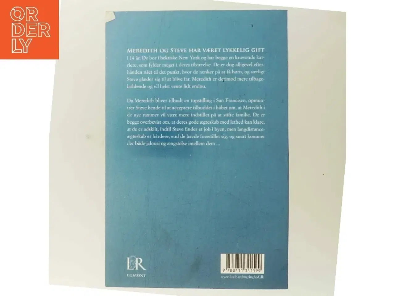 Billede 3 - Skæbnens veje af Danielle Steel (Bog)