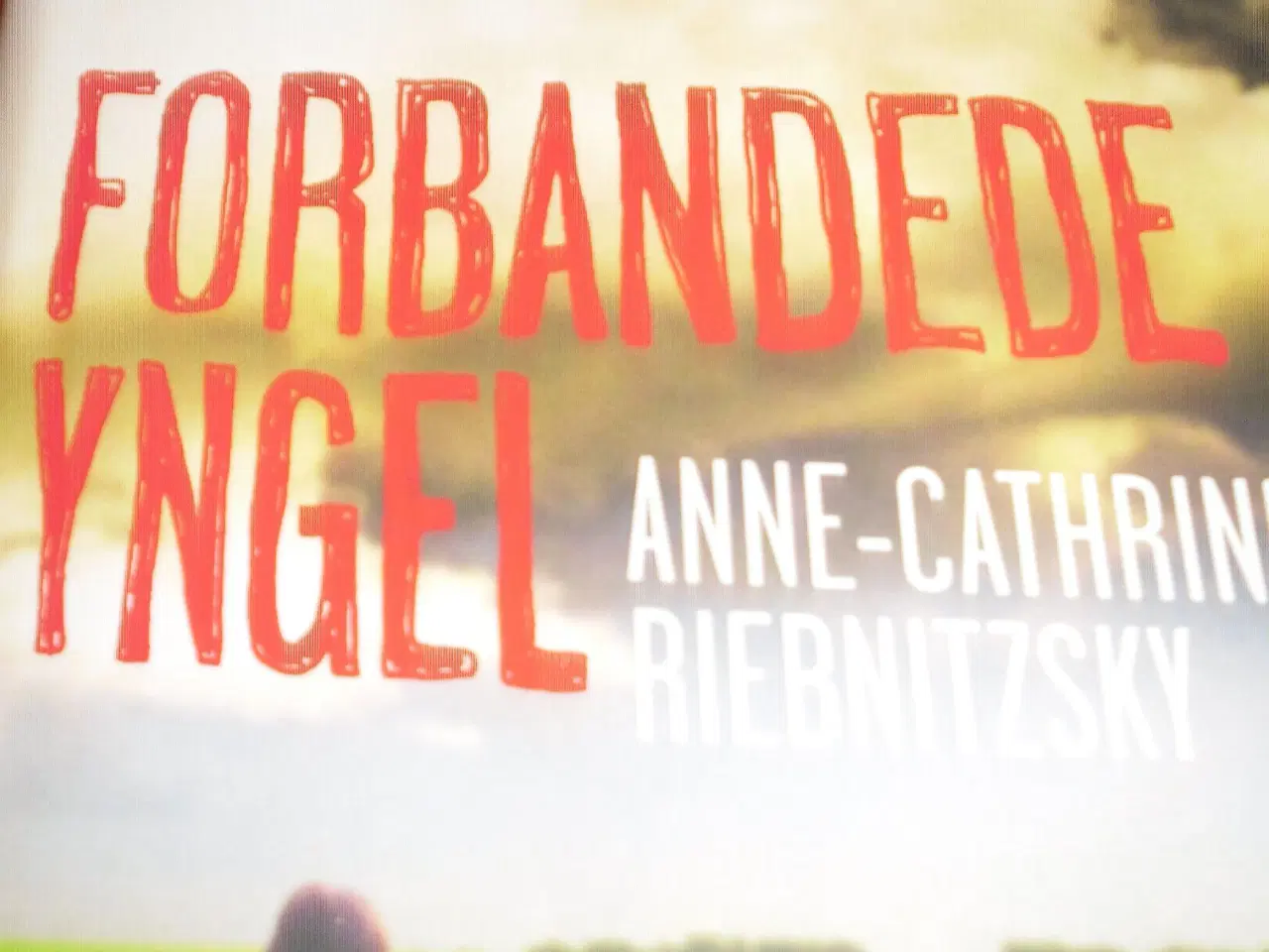 Billede 2 - Anne-Cathrine. Forbandede YNGEL.