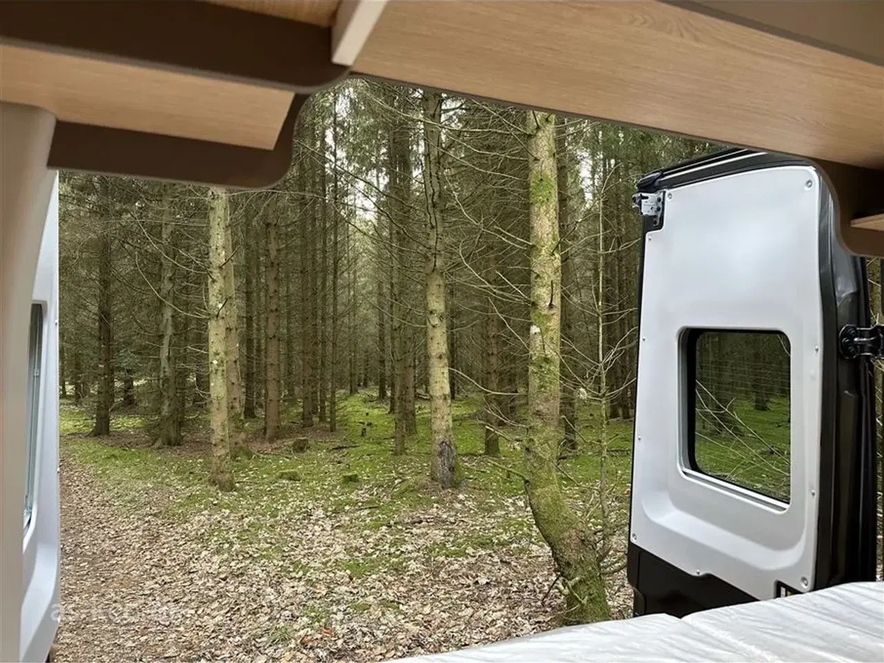 Billede 16 - 2022 - LMC Innovan 590   LMC Inovan 590