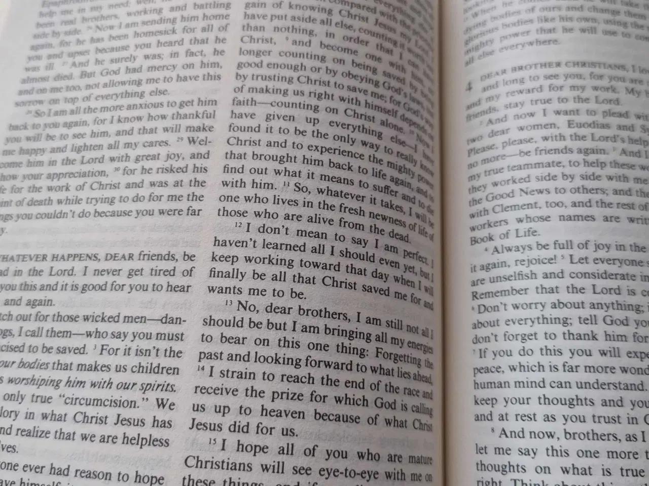 Billede 5 - The living bible