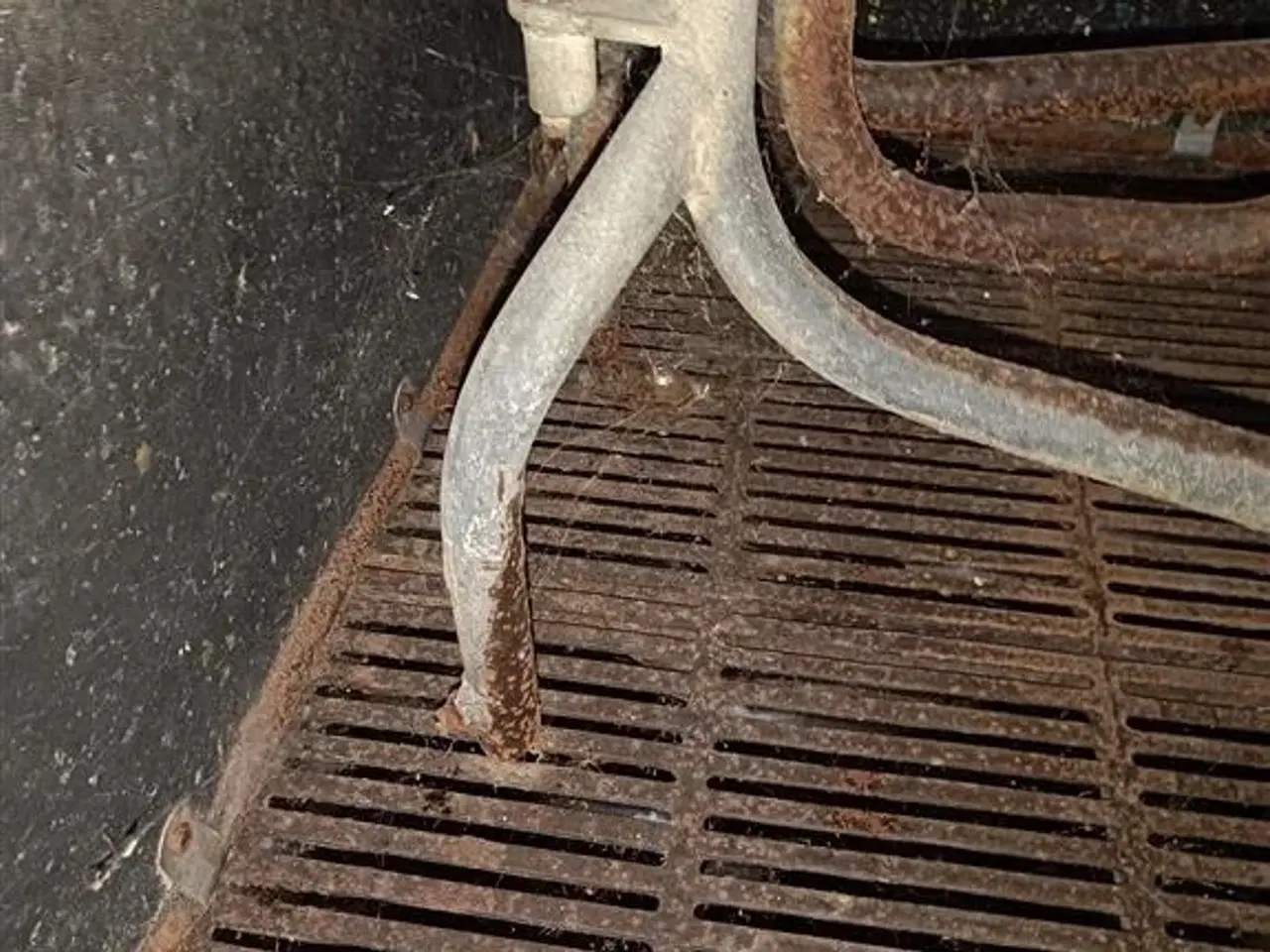 Billede 4 - - - - Sdr Vissing Farestier 40 stk.