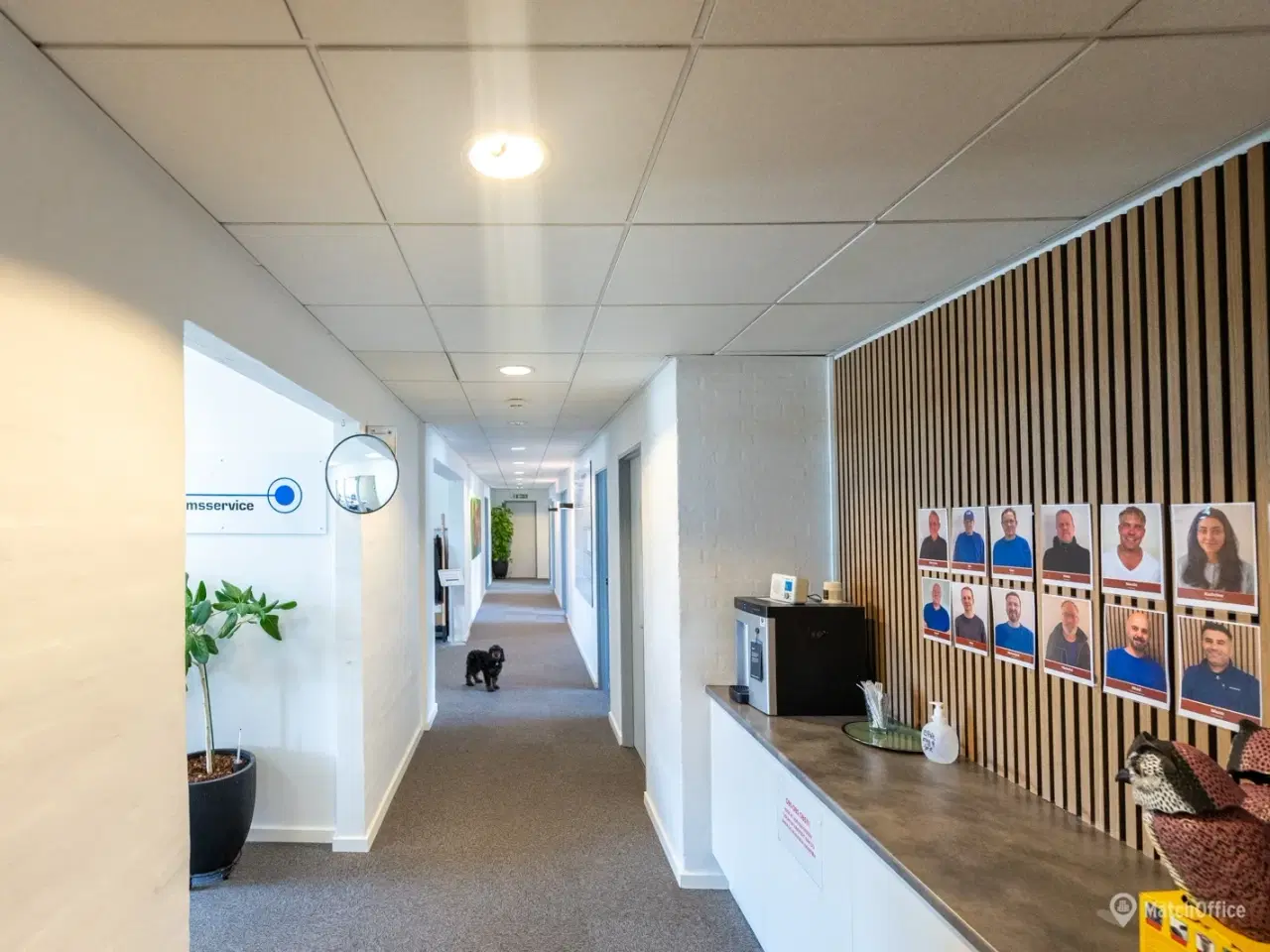 Billede 4 - UDLEJES: Lyst og rummeligt kontor i velholdt ejendom i Hvidovre