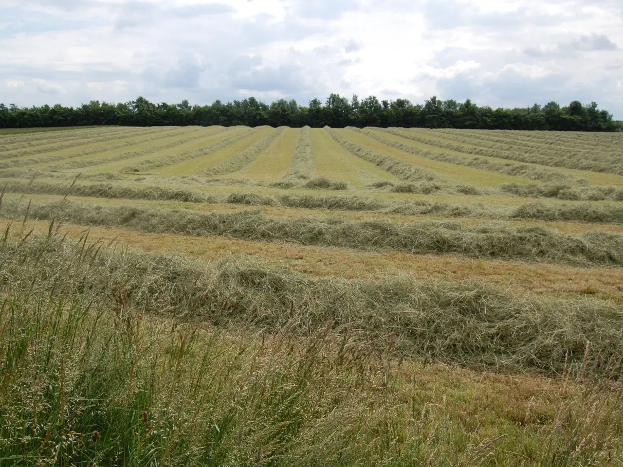 Billede 2 - WRAP HØ. Tørt.