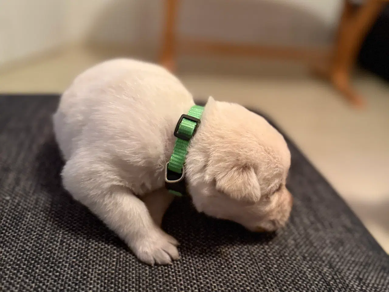 Billede 3 - Ønsker i en blød julegave 3 tilbage