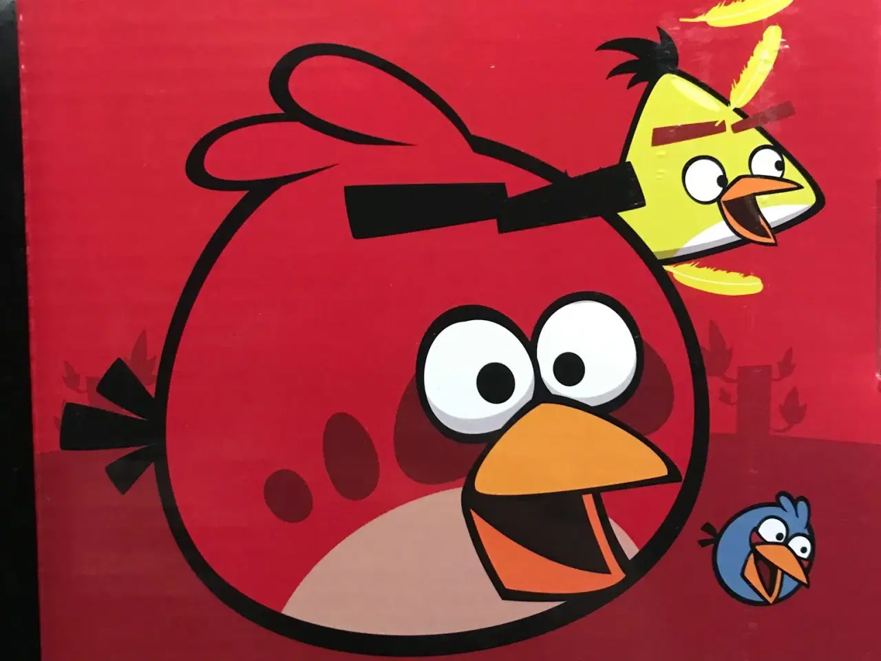 Billede 4 - Angry Bird Viskelæder