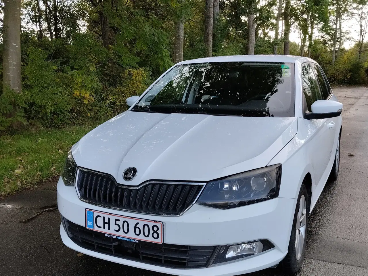 Billede 1 - Skoda Fabia 1,4 TDI 2015 