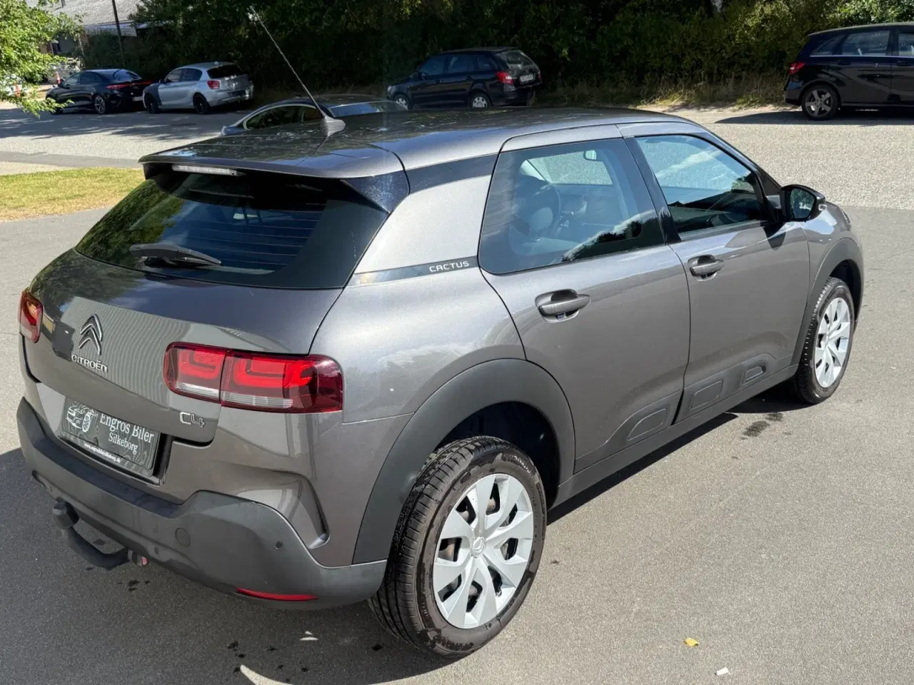 Billede 6 - Citroën C4 Cactus 1,2 PureTech 110 Iconic