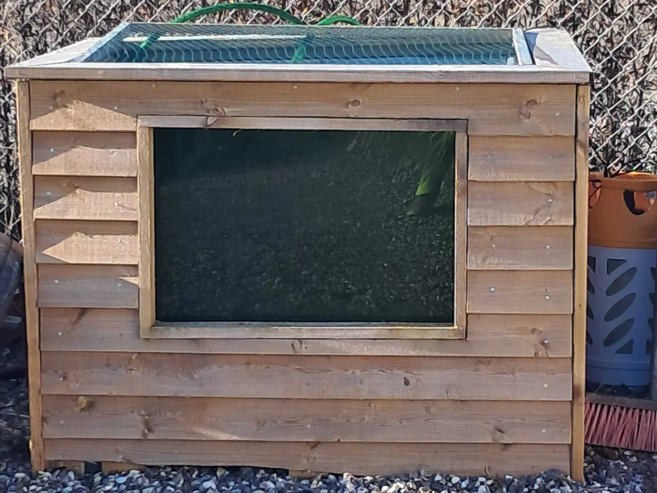 Billede 1 - Havedam med fisk