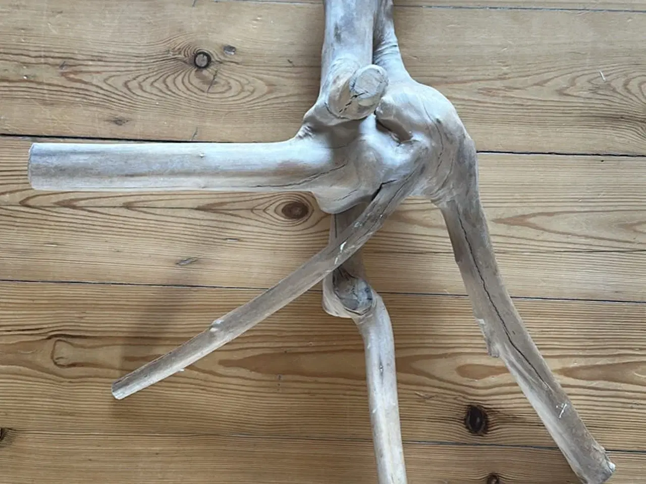 Billede 1 - Siddegren, Java ca. 55 cm.