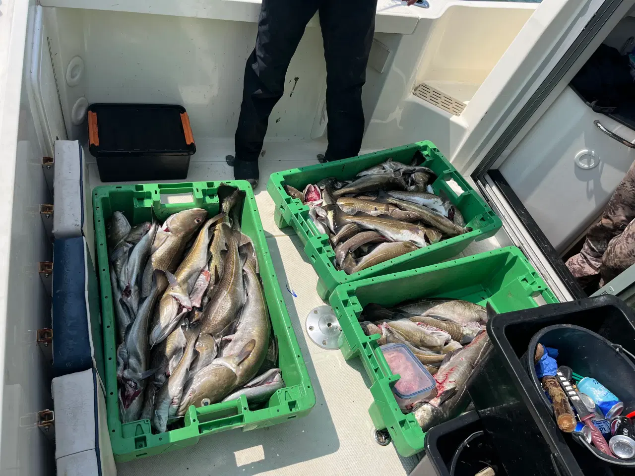 Billede 8 - QuickSilver 755 Pilothouse 275HK 